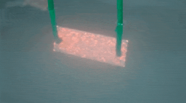 1617953329861809.gif 1.gif