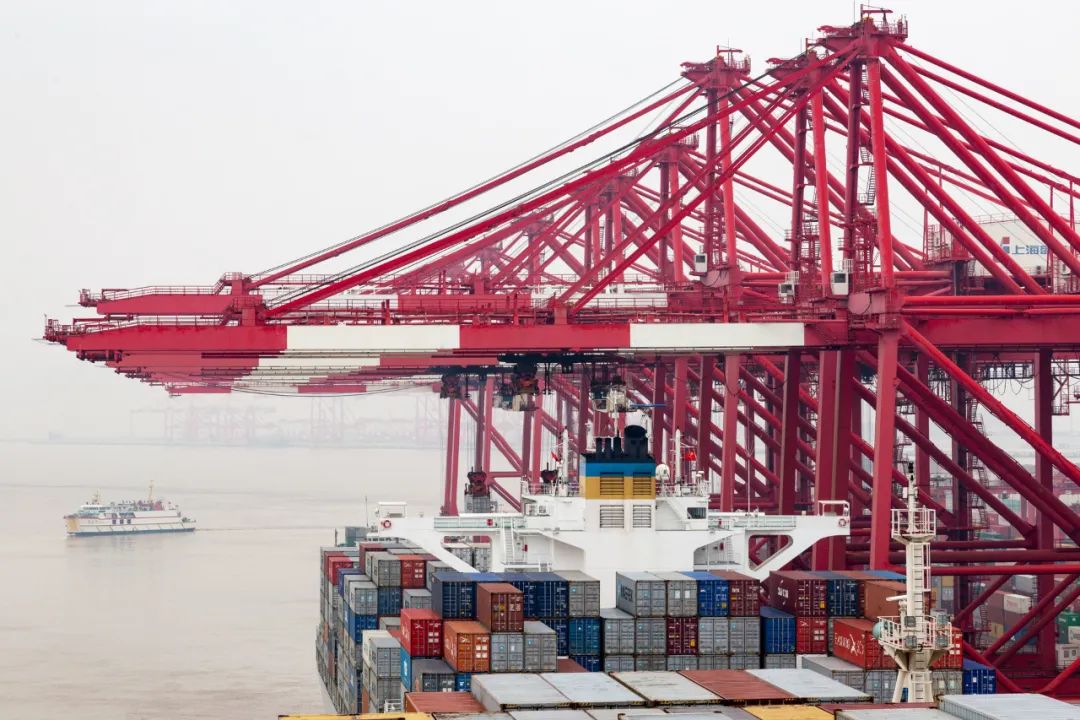 1635125187204634.jpg 2.jpg