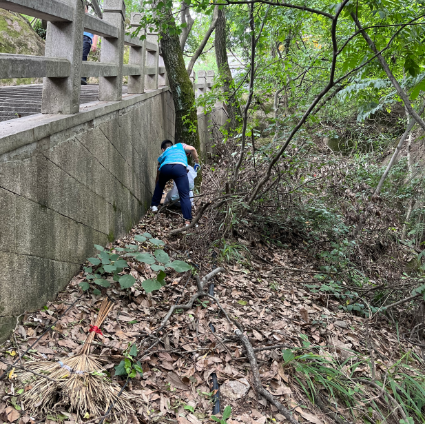 1657093210169772.png 4.png